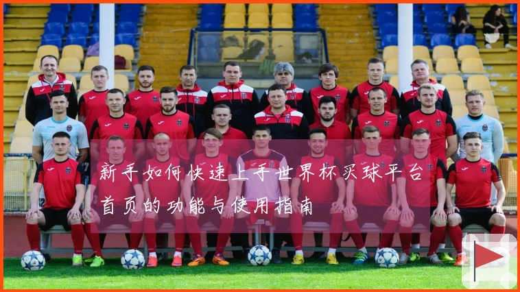 新手如何快速上手世界杯买球平台首页的功能与使用指南