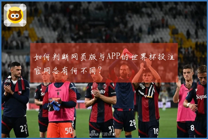 如何判断网页版与APP的世界杯投注官网各有何不同？