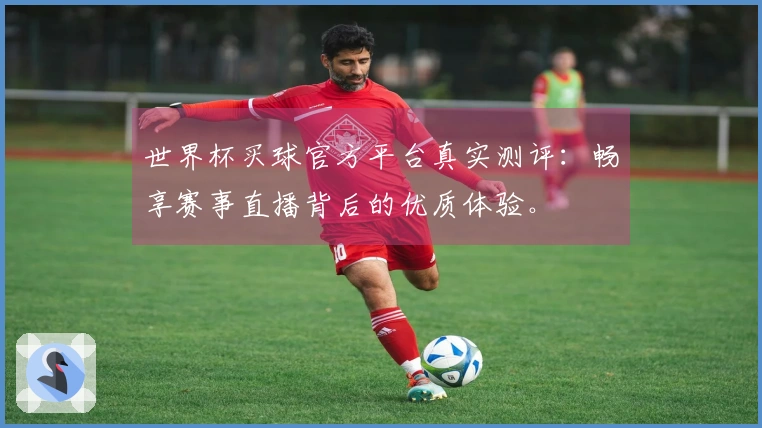 世界杯买球官方平台真实测评：畅享赛事直播背后的优质体验。