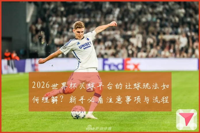 2026世界杯买球平台的让球玩法如何理解？新手必看注意事项与流程分析