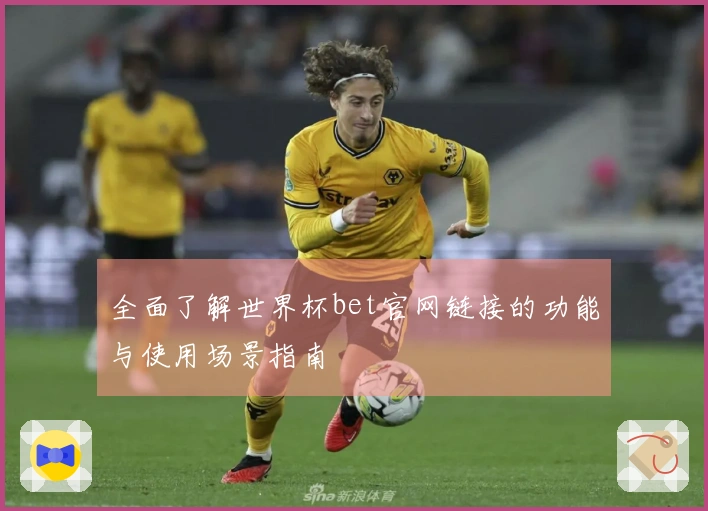 全面了解世界杯bet官网链接的功能与使用场景指南