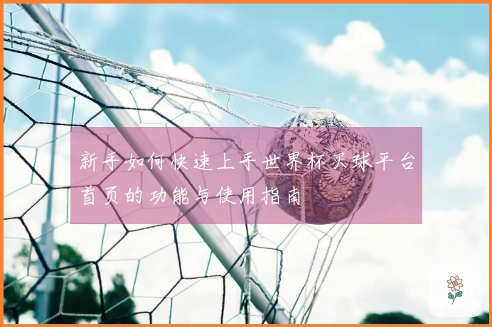 新手如何快速上手世界杯买球平台首页的功能与使用指南