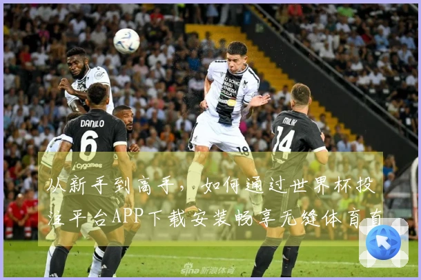 从新手到高手，如何通过世界杯投注平台APP下载安装畅享无缝体育直播体验