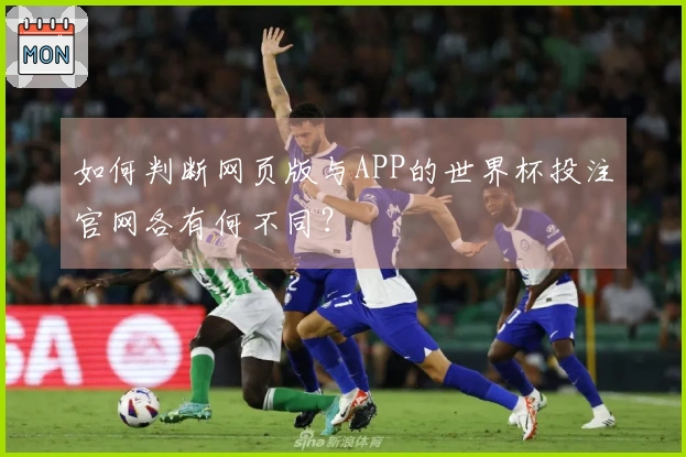 如何判断网页版与APP的世界杯投注官网各有何不同?