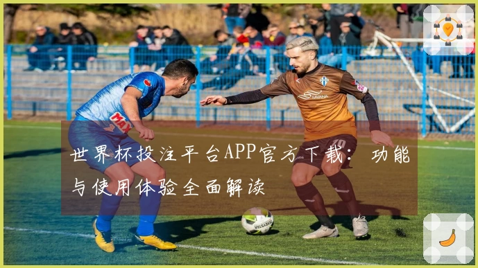 世界杯投注平台APP官方下载：功能与使用体验全面解读