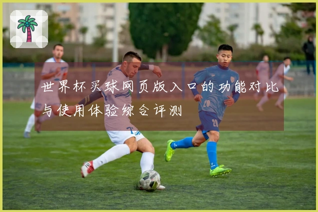世界杯买球网页版入口的功能对比与使用体验综合评测
