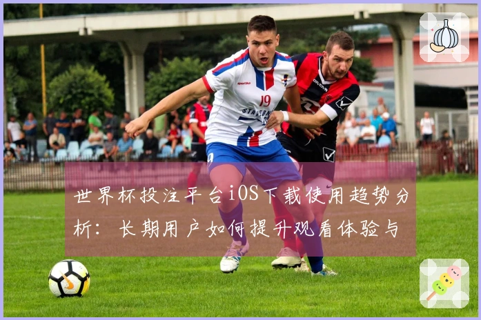 世界杯投注平台iOS下载使用趋势分析：长期用户如何提升观看体验与互动乐趣